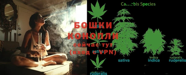 герыч Козельск