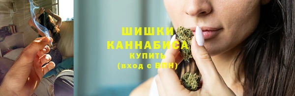 стаф Козловка