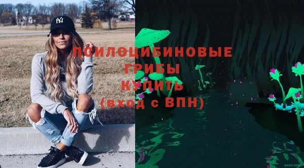 стаф Козловка