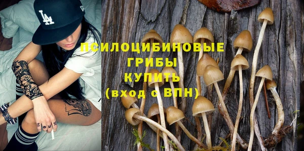 герыч Козельск