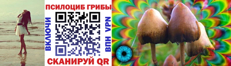 Галлюциногенные грибы Psilocybe Щёлково